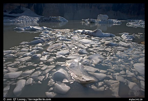 Icebergs in Upper Grinnell Lake. Glacier National Park, Montana, USA.