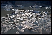 Icebergs in Upper Grinnell Lake. Glacier National Park, Montana, USA.