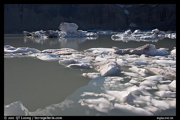 Icebergs and reflections in Upper Grinnell Lake. Glacier National Park, Montana, USA.