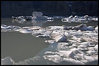 Icebergs and reflections in Upper Grinnell Lake. Glacier National Park ( color)