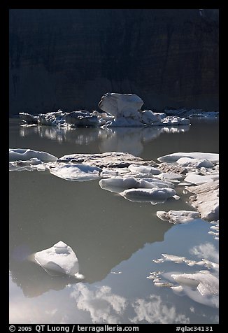 Garden wall reflection and icebergs in Upper Grinnell Lake. Glacier National Park, Montana, USA.