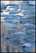 Blue icebergs floating on reflections of rock wall, late afternoon. Glacier National Park, Montana, USA.