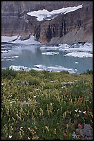 Wildflowers, Upper Grinnell Lake, and Salamander Falls and Glacier. Glacier National Park, Montana, USA. (color)