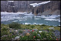 Wildflowers, Upper Grinnell Lake, Salamander Falls and Glacier. Glacier National Park, Montana, USA.