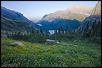 Wildflower meadow and Many Glacier Valley, late afternoon. Glacier National Park, Montana, USA. (color)