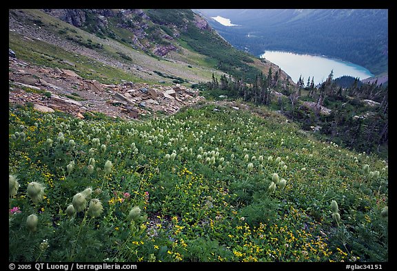 Bear Grass, Grinnell Lake and Josephine Lake. Glacier National Park, Montana, USA.