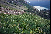 Bear Grass, Grinnell Lake and Josephine Lake. Glacier National Park, Montana, USA. (color)