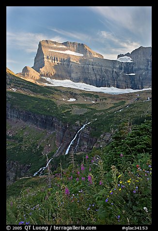 Wildflowers, Grinnell Falls, Mt Gould, and Garden Wall, sunset. Glacier National Park, Montana, USA.