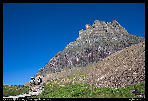 Two backpackers descending on trail near Logan Pass. Glacier National Park (color)