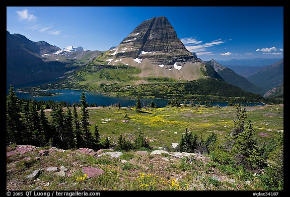 Meadows with alpine wildflowers, Hidden Lake and Bearhat Mountain behind. Glacier National Park (color)