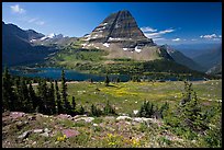 Meadows with alpine wildflowers, Hidden Lake and Bearhat Mountain behind. Glacier National Park, Montana, USA. (color)