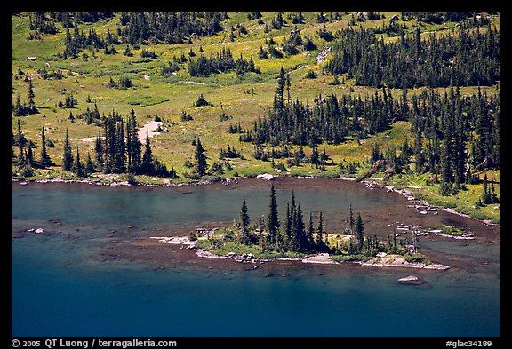Islet on Hidden Lake. Glacier National Park, Montana, USA.