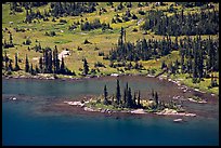 Islet on Hidden Lake. Glacier National Park, Montana, USA. (color)