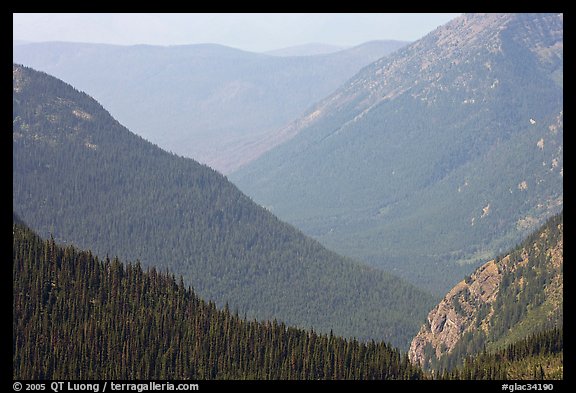 Forested Ridges seen from Hidden Lake Pass. Glacier National Park, Montana, USA.