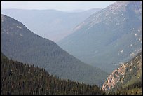 Forested Ridges seen from Hidden Lake Pass. Glacier National Park ( color)