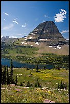 Alpine Meadows with wildflowers, Hidden Lake and Bearhat Mountain behind. Glacier National Park, Montana, USA.