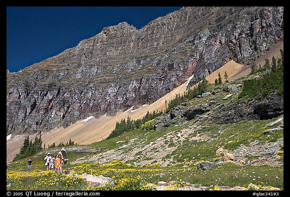 Family hiking on trail amongst wildflowers near Hidden Lake. Glacier National Park, Montana, USA.