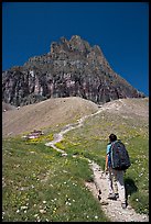 Backpacker and peak near Logan Pass. Glacier National Park, Montana, USA. (color)