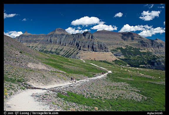 Trail near Logan Pass. Glacier National Park, Montana, USA.
