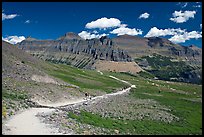 Trail near Logan Pass. Glacier National Park, Montana, USA.