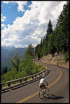 Bicyclists riding down Going-to-the-Sun road. Glacier National Park, Montana, USA. (color)