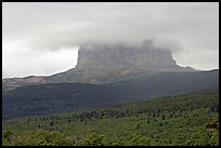 Chief Mountain, with top in the clouds. Glacier National Park, Montana, USA.