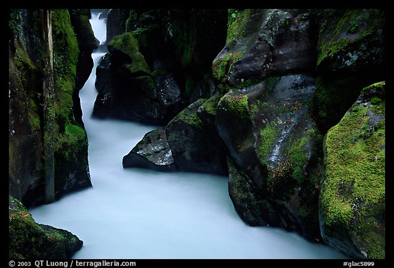 Avalanche Creek. Glacier National Park (color)