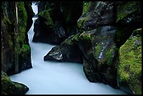 Avalanche Creek. Glacier National Park, Montana, USA.