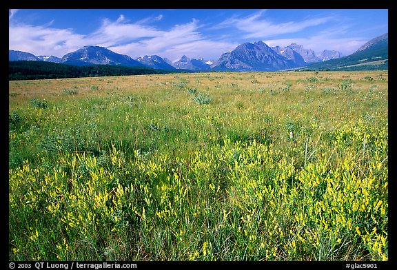 Lewis range seen from the eastern flats, morning. Glacier National Park, Montana, USA.