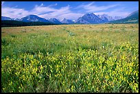 Lewis range seen from the eastern flats, morning. Glacier National Park, Montana, USA.