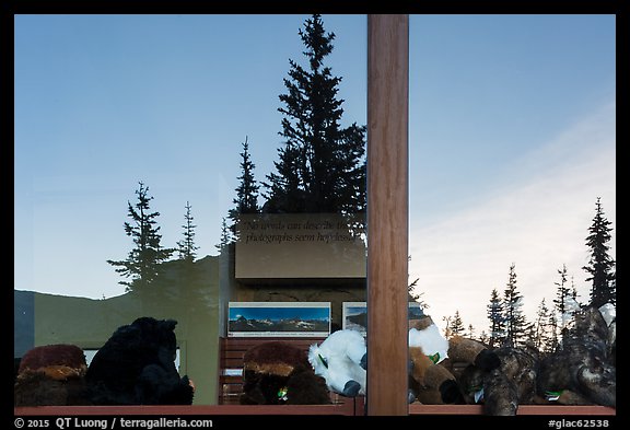 Firs and peak, Logan Pass visitor center window reflexion. Glacier National Park (color)