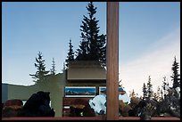 Firs and peak, Logan Pass visitor center window reflexion. Glacier National Park ( color)