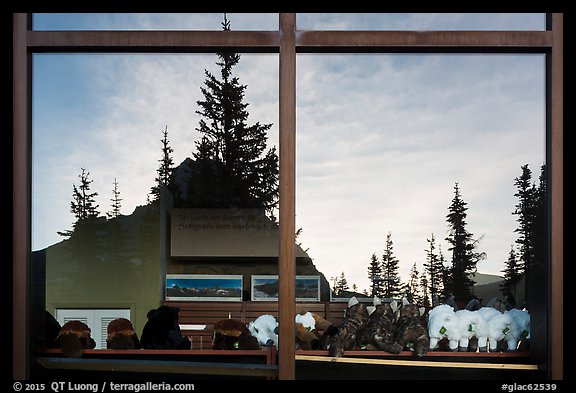 Firs and peak, Logan Pass visitor center window reflexion. Glacier National Park (color)