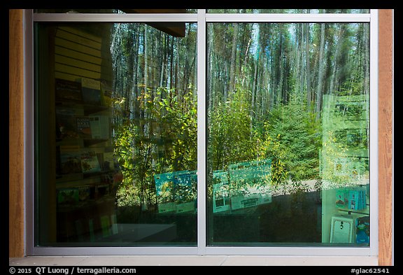 Forest, Apgar visitor center window reflexion. Glacier National Park (color)