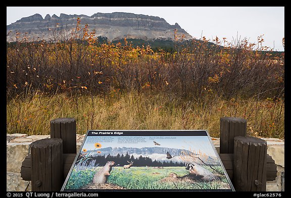 Prairie Edge interpretive sign. Glacier National Park, Montana, USA.