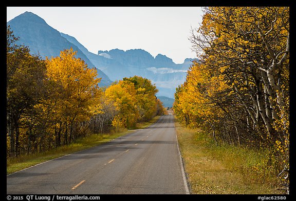 Road in autumn, Many Glacier. Glacier National Park, Montana, USA.