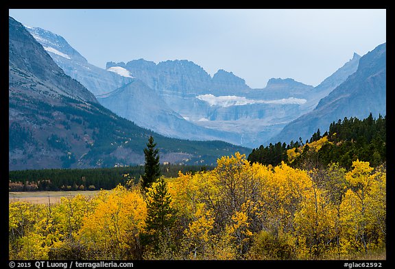 Forest in autum foliage and Garden Wall, Many Glacier. Glacier National Park, Montana, USA.