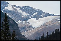 Jackson Glacier. Glacier National Park ( color)