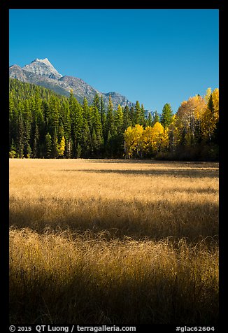 Meadow in autumn, North Fork. Glacier National Park (color)