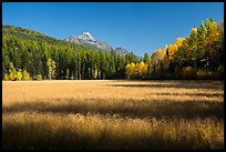 Shadows in autumn meadow. Glacier National Park ( color)