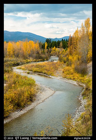 Autumn foliage along the North Fork of Flathead River. Glacier National Park, Montana, USA.