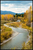 Autumn foliage along the North Fork of Flathead River. Glacier National Park, Montana, USA.