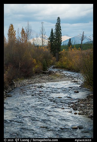 Bowman Creek. Glacier National Park (color)