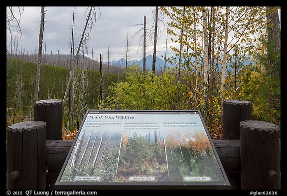 Thank you wildfire interpretive sign. Glacier National Park, Montana, USA.