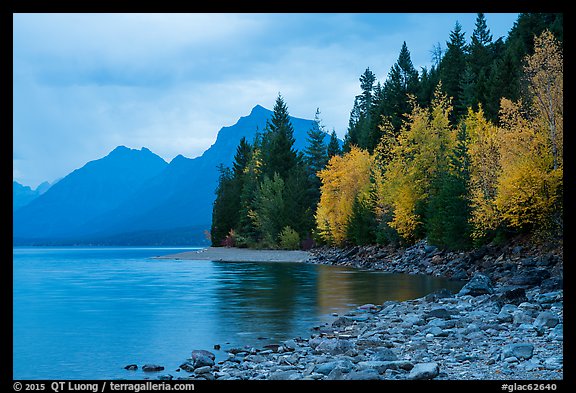 Trees in autumn color and Lake McDonald. Glacier National Park (color)