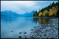 Lake McDonald shores in autum. Glacier National Park, Montana, USA.