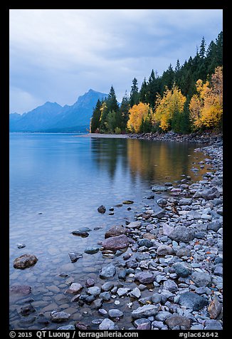 Lake McDonald lakeshore at dusk with autum foliage. Glacier National Park (color)