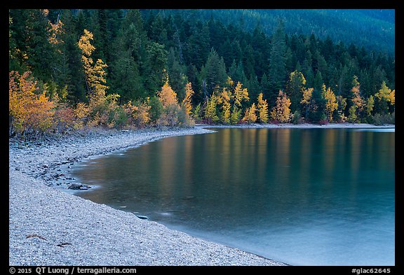 Gravel beach and trees in autun foliage, Lake McDonald. Glacier National Park (color)