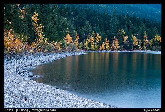 Gravel beach and trees in autun foliage, Lake McDonald. Glacier National Park, Montana, USA.