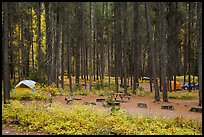 Apgar Campground in autumn. Glacier National Park, Montana, USA.